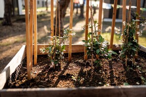 Casa | Detalhe da parte interna