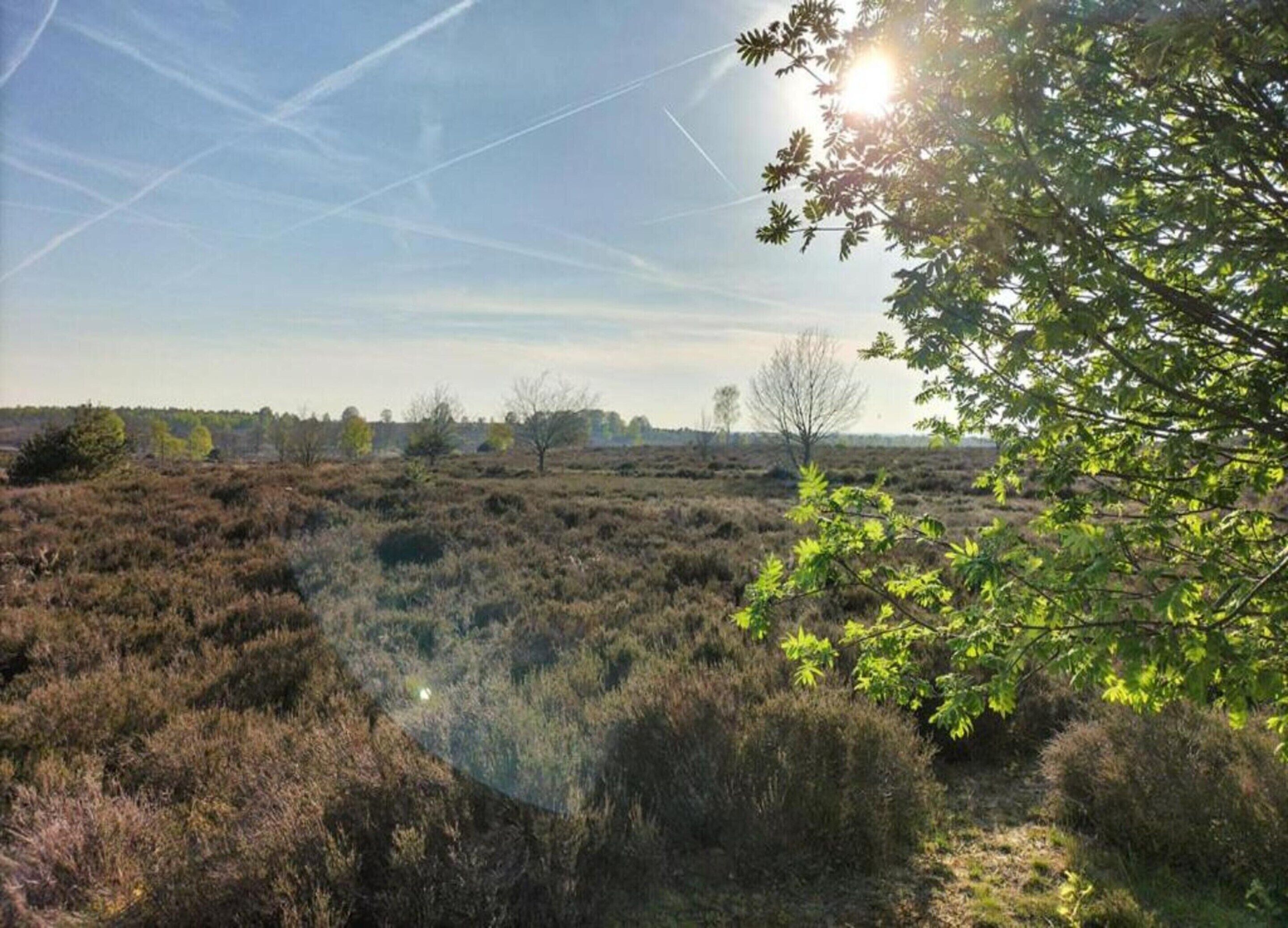 A natural landscape with dense shrubbery and trees, under a clear sky with visible contrails.