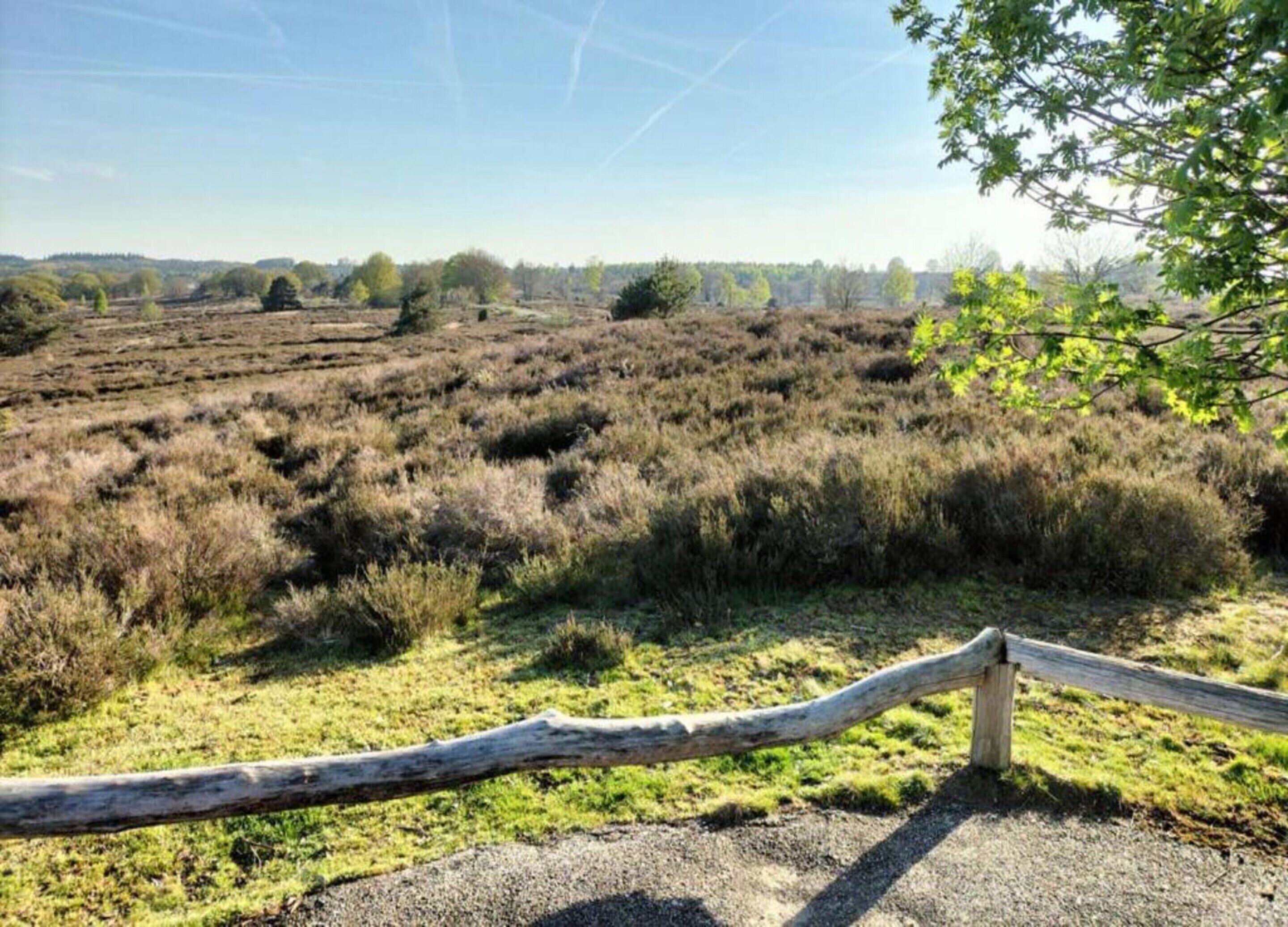 A natural landscape with a wooden fence in the foreground.