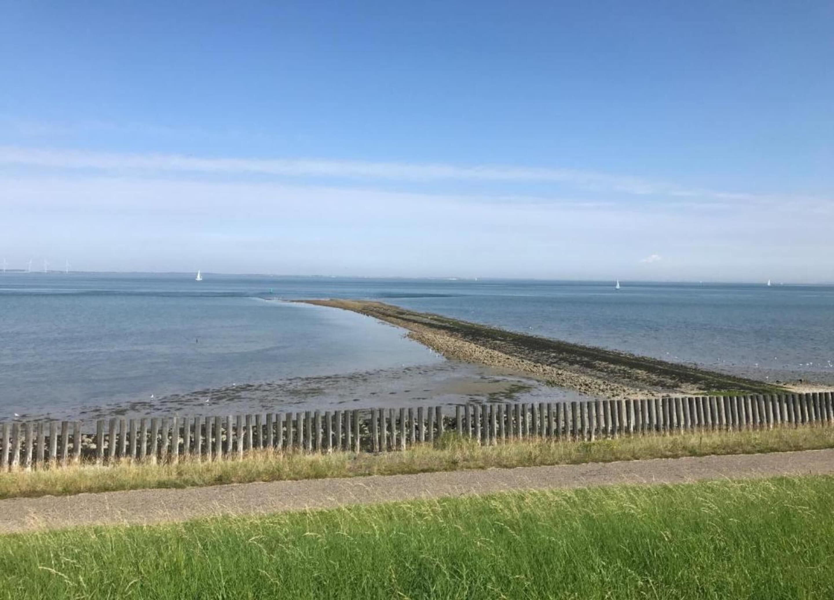 A coastal view with a wooden jetty extending into the sea, a clear sky, and distant wind turbines.