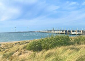 House | View from property - Cottage Near Het Bokkegat Nature Reserve (Wissenkerke)