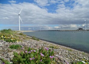 Ferienhaus | Blick von der Unterkunft