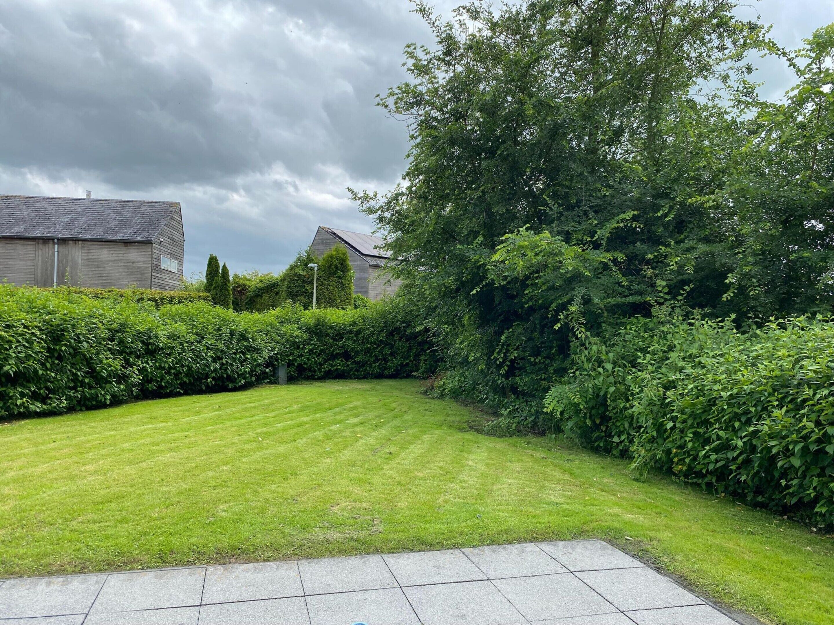 A well-maintained lawn with a paved patio area, surrounded by dense hedges and trees.