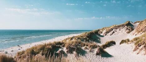 Hus | Utsikt fra overnattingsstedet