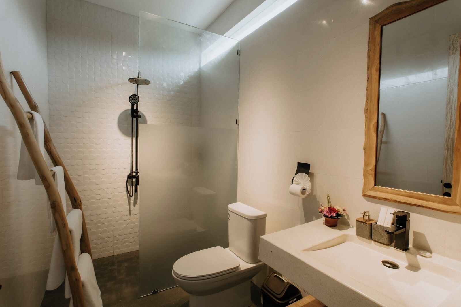 Ducha, secador de pelo, bidet, toallas