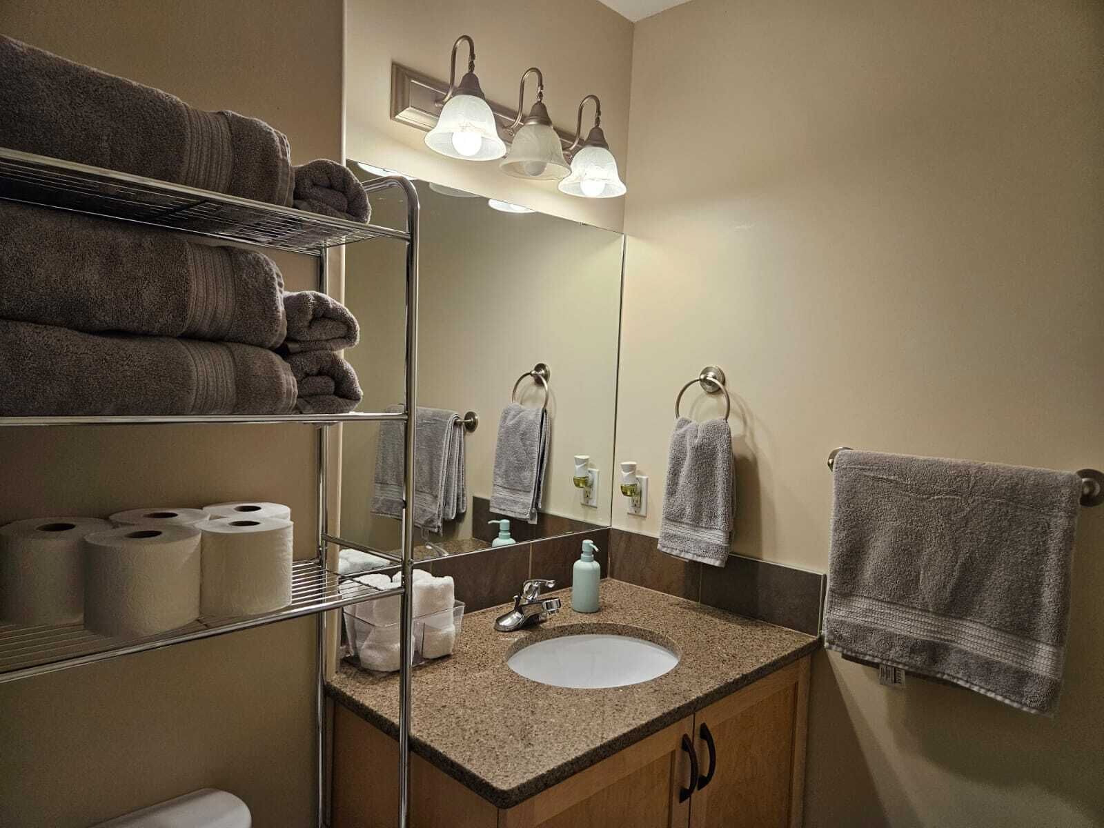 Hair dryer, towels, soap, shampoo
