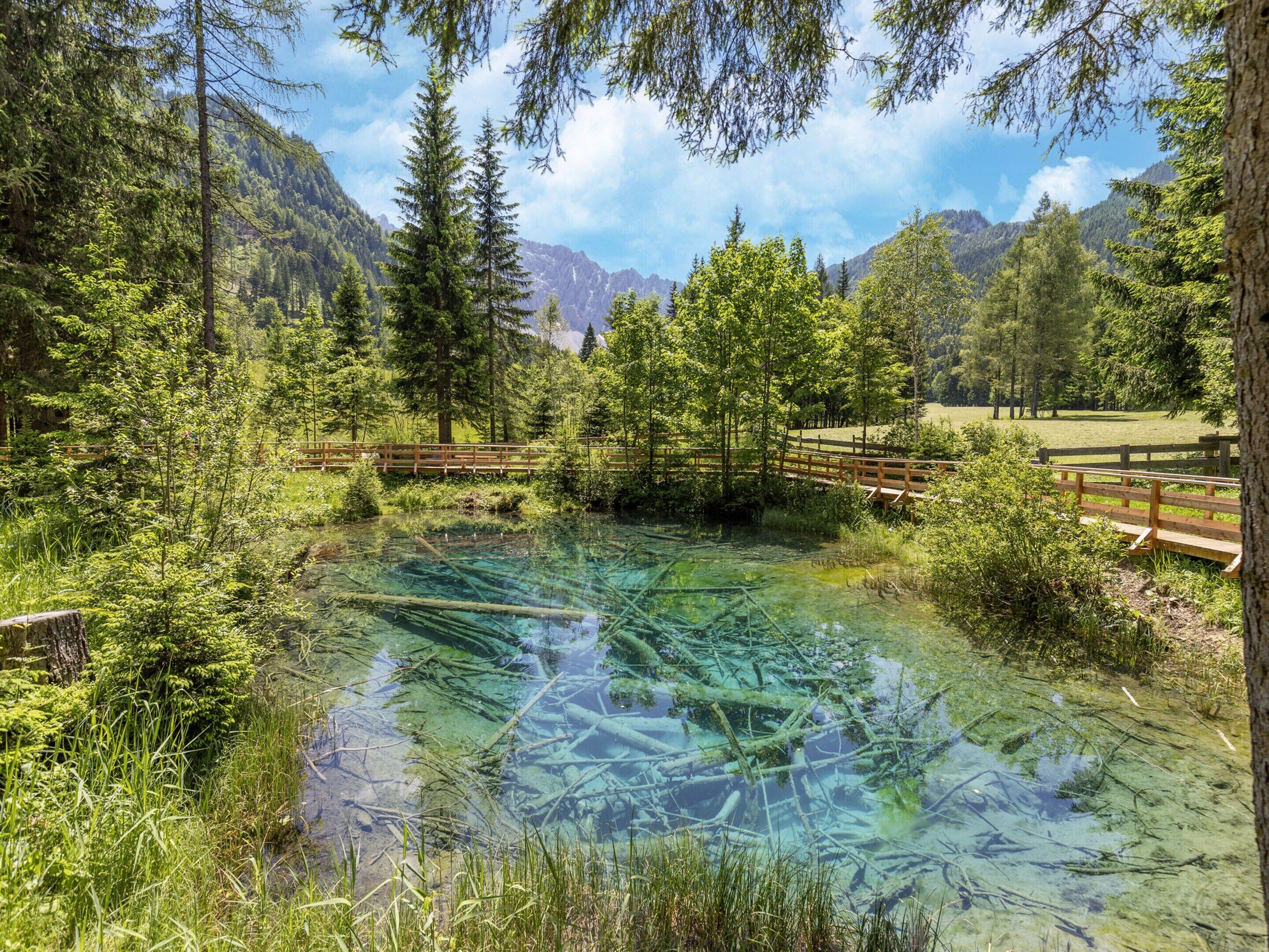 A natural landscape with a clear pond surrounded by trees and mountains.