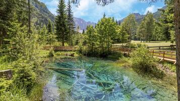 A natural landscape with a clear pond surrounded by trees and mountains.