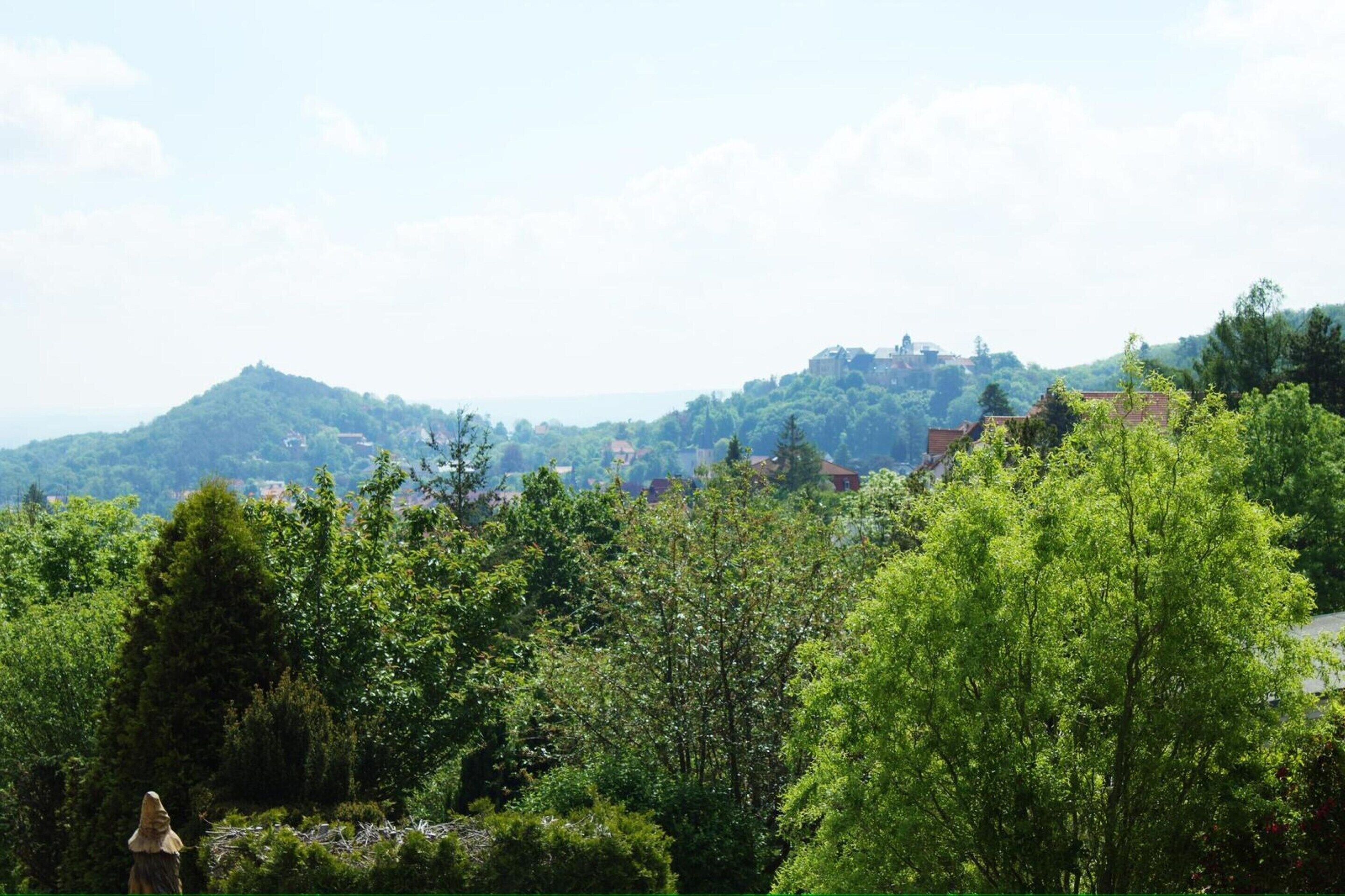 A lush green landscape with a hill in the background and a statue in the foreground.