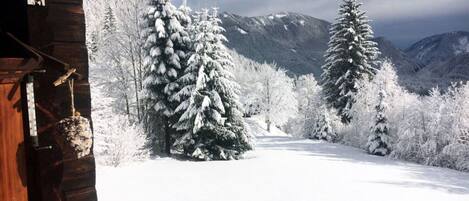 House | Property grounds