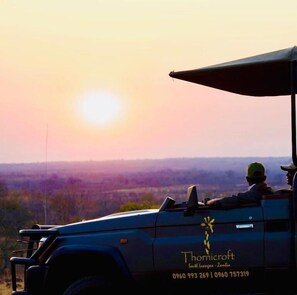 Game viewing