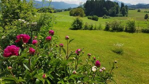 A lush green field with a cluster of peonies in the foreground and a forested hill in the background. - Mountain View Comfortable Holiday Residence (Rimsting)