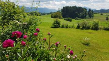 House | Property grounds