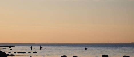 Mökki | Ranta | Ranta lähistöllä