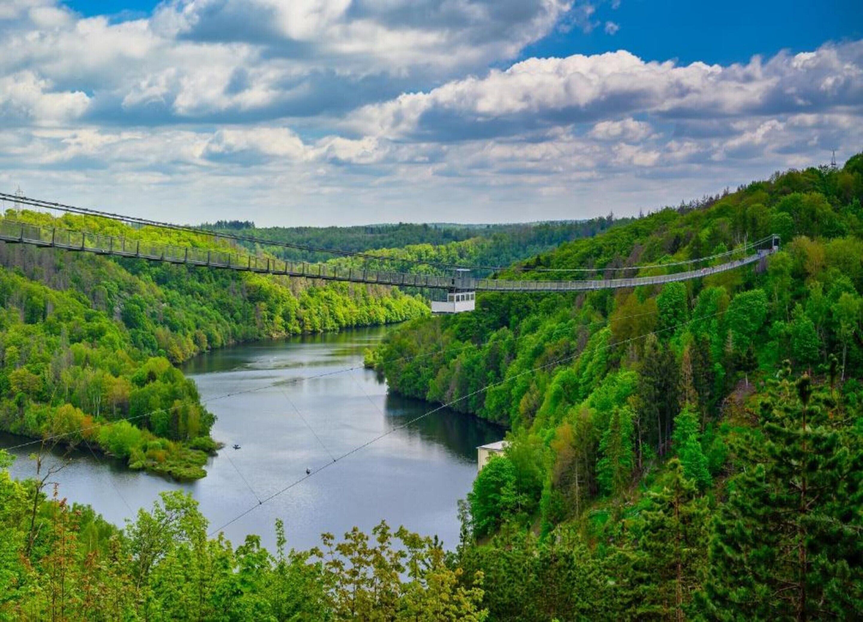 Un pont suspendu enjambant une rivière, le tout entouré d’une forêt dense.