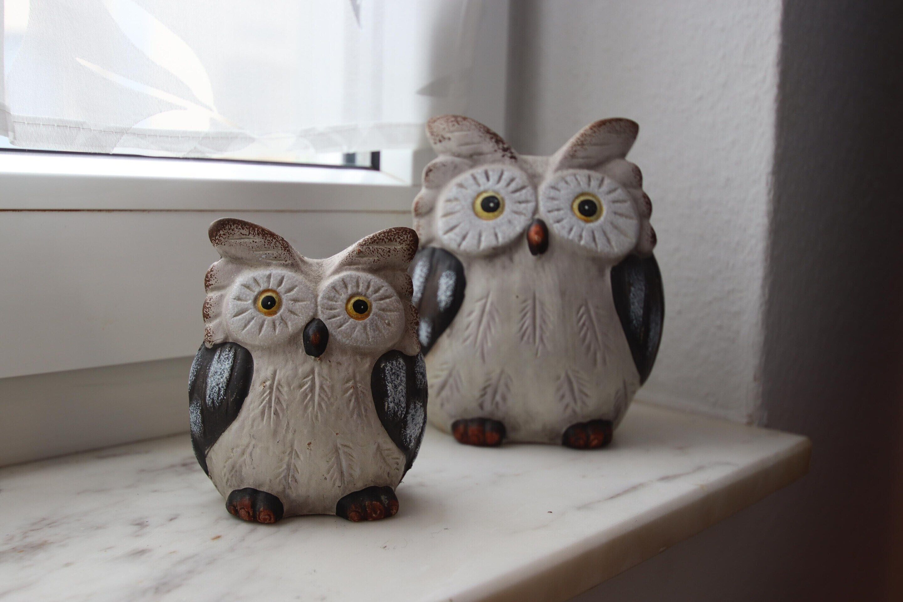 Duas figuras de corujas de cerâmica numa prateleira perto de uma janela.
