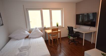 Modernes Apartment in Biberach (1.1)