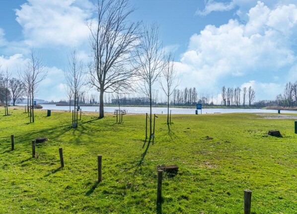 A grassy field with a few trees and a body of water in the background.