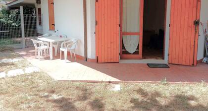 Attractive Villa With Garden