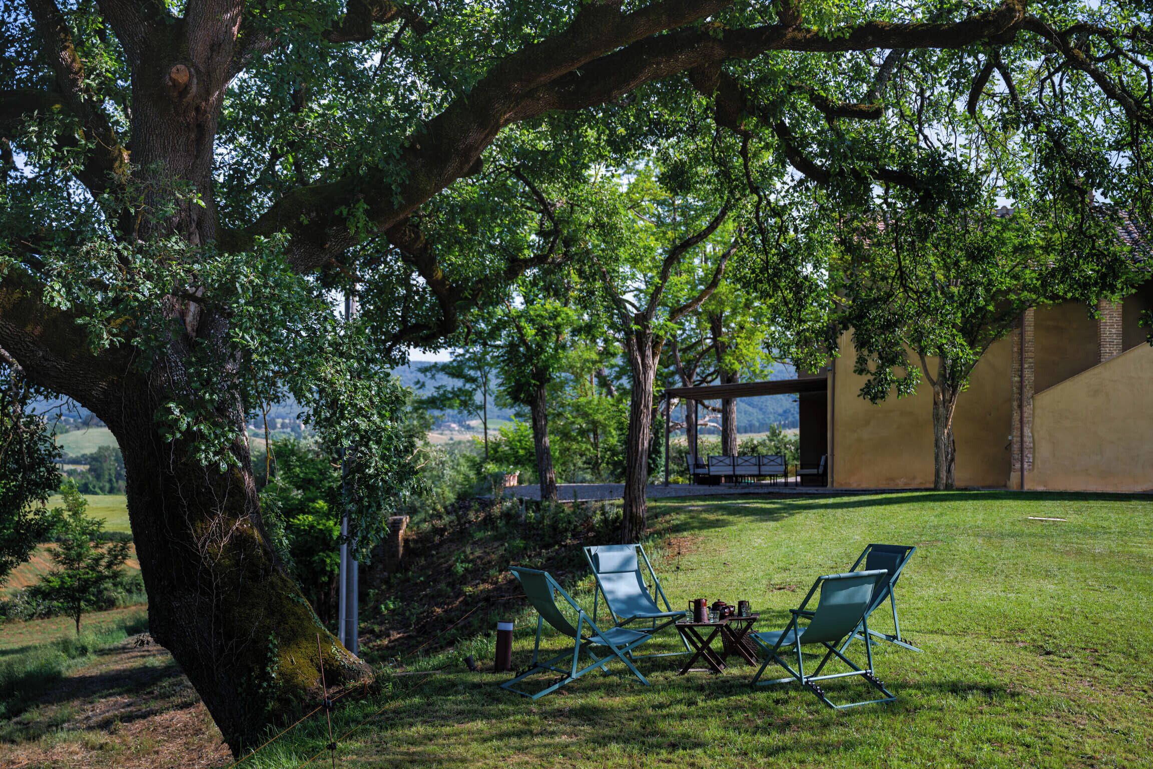 A serene outdoor seating area with two lounge chairs under a large tree, a small table with a cup and saucer, and a building with a glass facade in the background.