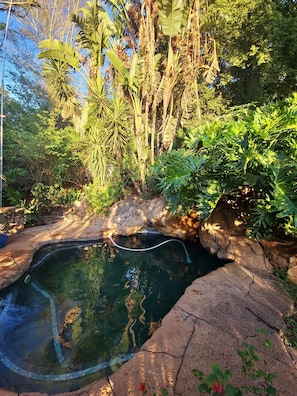 Piscina externa