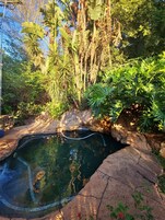 Un jardín natural con un pequeño estanque rodeado de rocas y abundante vegetación.