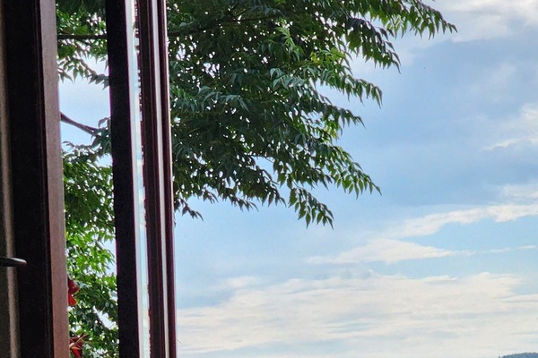 View from room