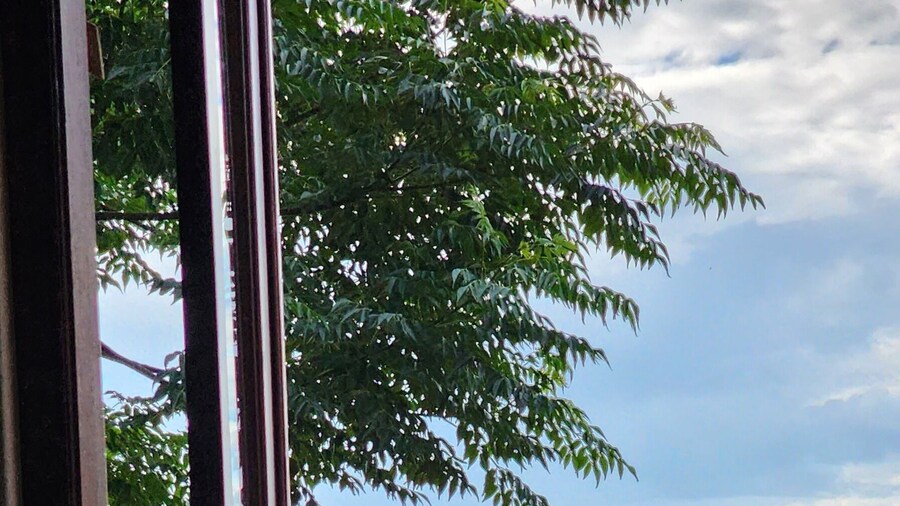 Bali at Scenic Haven Lodge