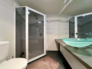 Shower, hair dryer, towels