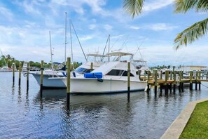 Unclassified image, 4 of 42, button