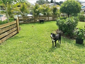 Property grounds