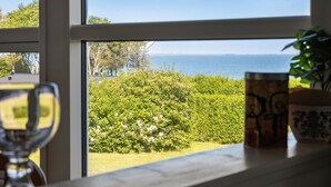 Blick durch ein Fenster auf klaren Himmel, ein Gewässer und grüne Vegetation.