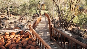 Un sendero de madera con barandilla, rodeado de rocas y árboles.