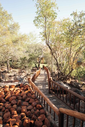 Exterior - Mmakuba Private Game Lodge (Mookgopong)