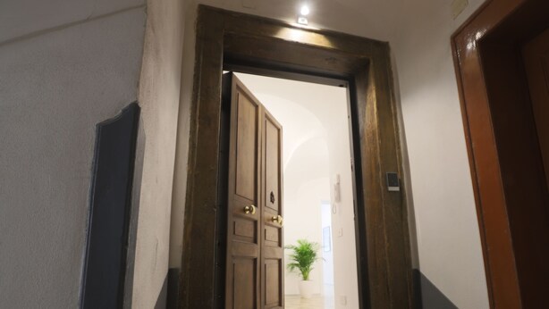 Un pasillo con puerta de madera, una planta en maceta y una escalera.
