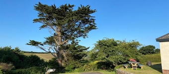 Tranquil family home on large plot, pet friendly, 15 min walk to Hope Cove