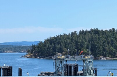 Downtown Friday Harbor! Newly Built! (HB)