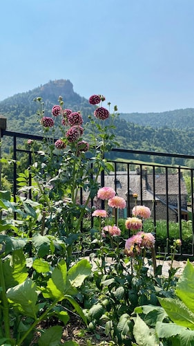 Gîte de caractère au pied du Puy Mary à le Falgoux