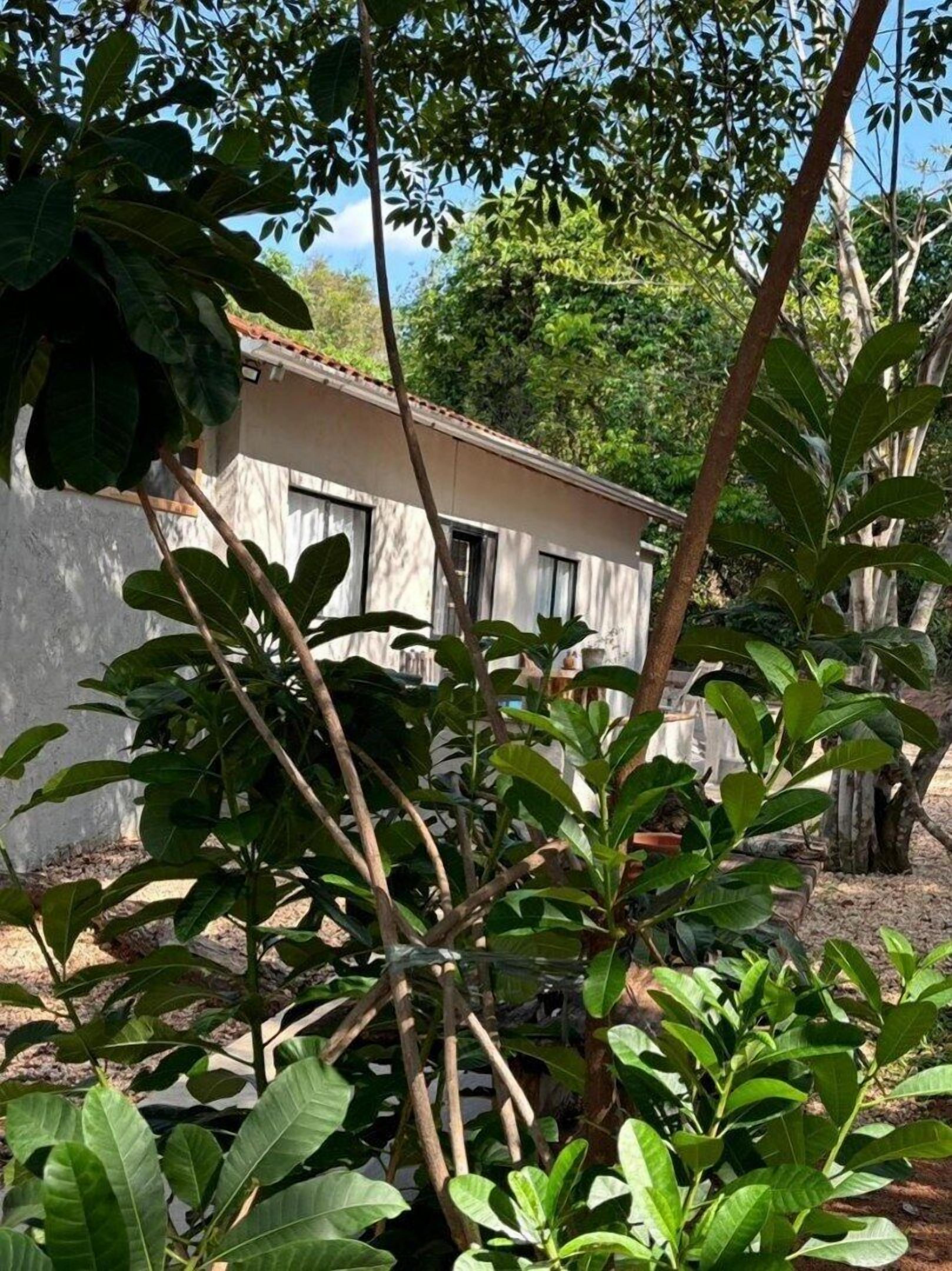 Habitación junior | 1 habitación y wifi gratis 