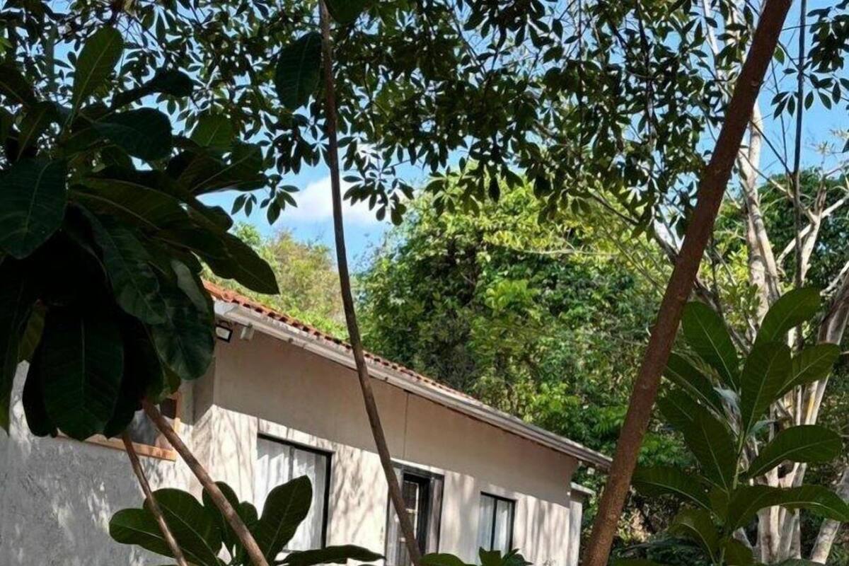 Un edificio con fachada blanca y numerosas ventanas, rodeado de exuberante follaje y árboles.