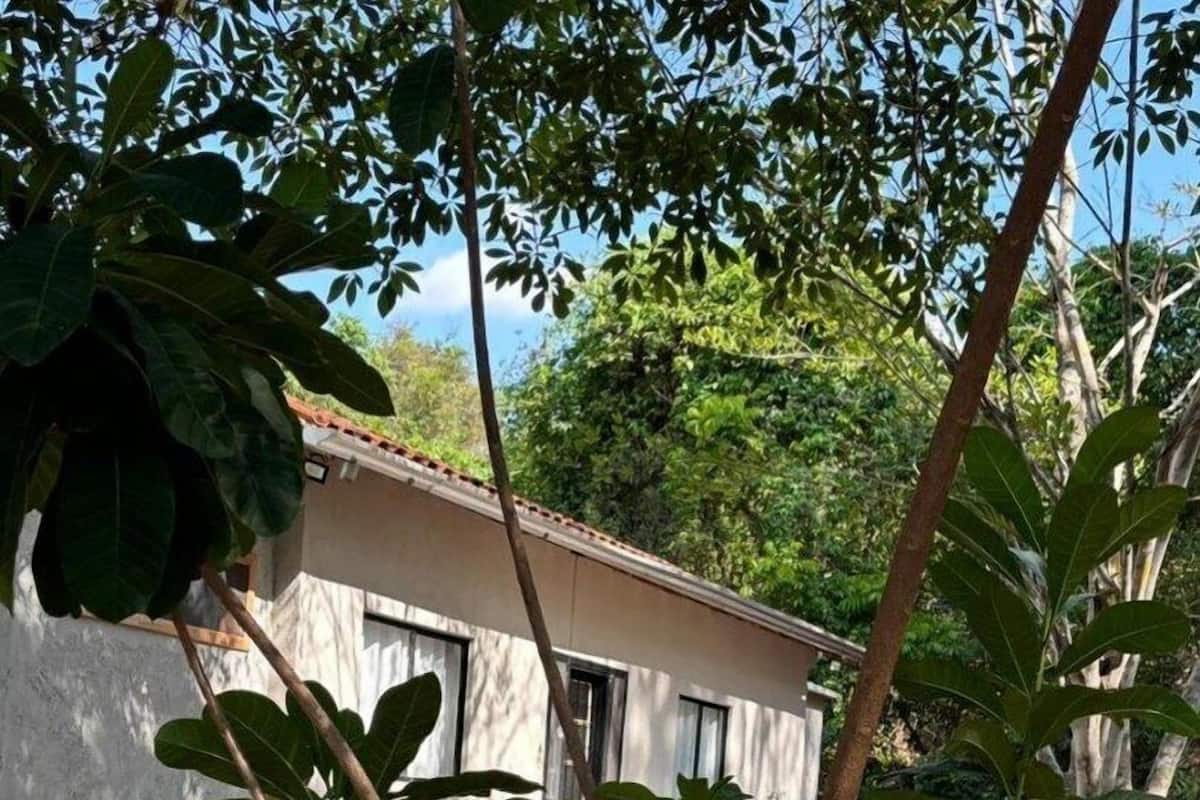 Habitació júnior | 1 dormitori i wifi gratuïta