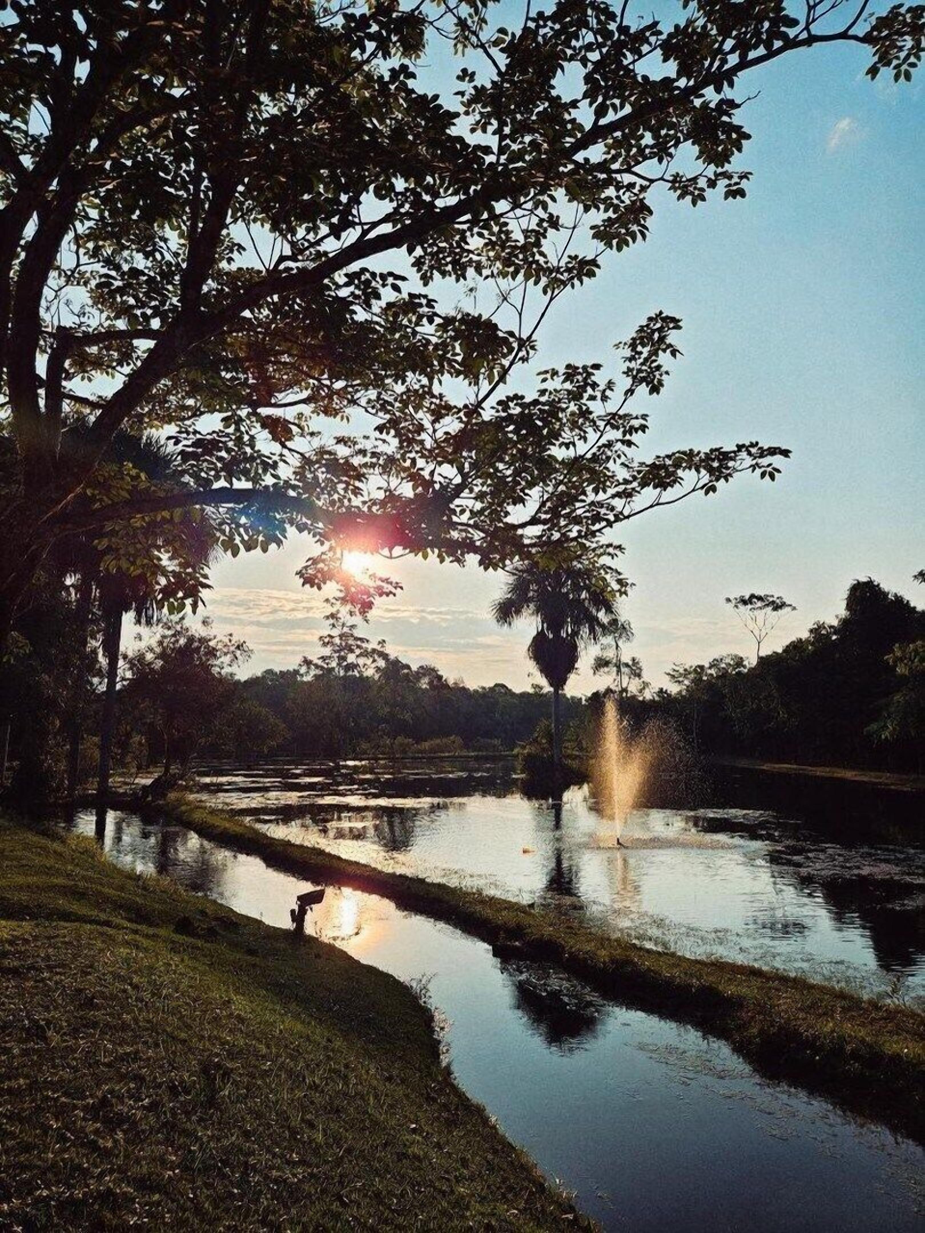 Escena apacible a orillas del río, con una fuente, árboles y cielo despejado.