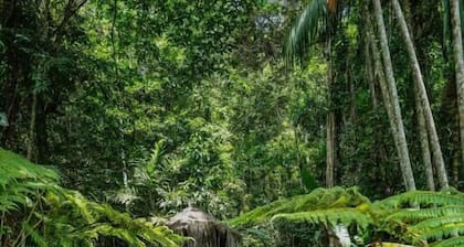 JARDIM DA AMAZONIA LODGE