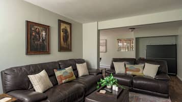 Smart TV, fireplace, computer monitors
