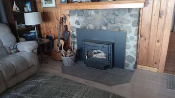 Smart TV, fireplace, books