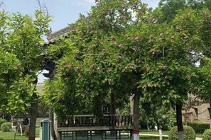 Garden - Pingyao Tianjia Inn (Ancient City Shop) (Pingyao)