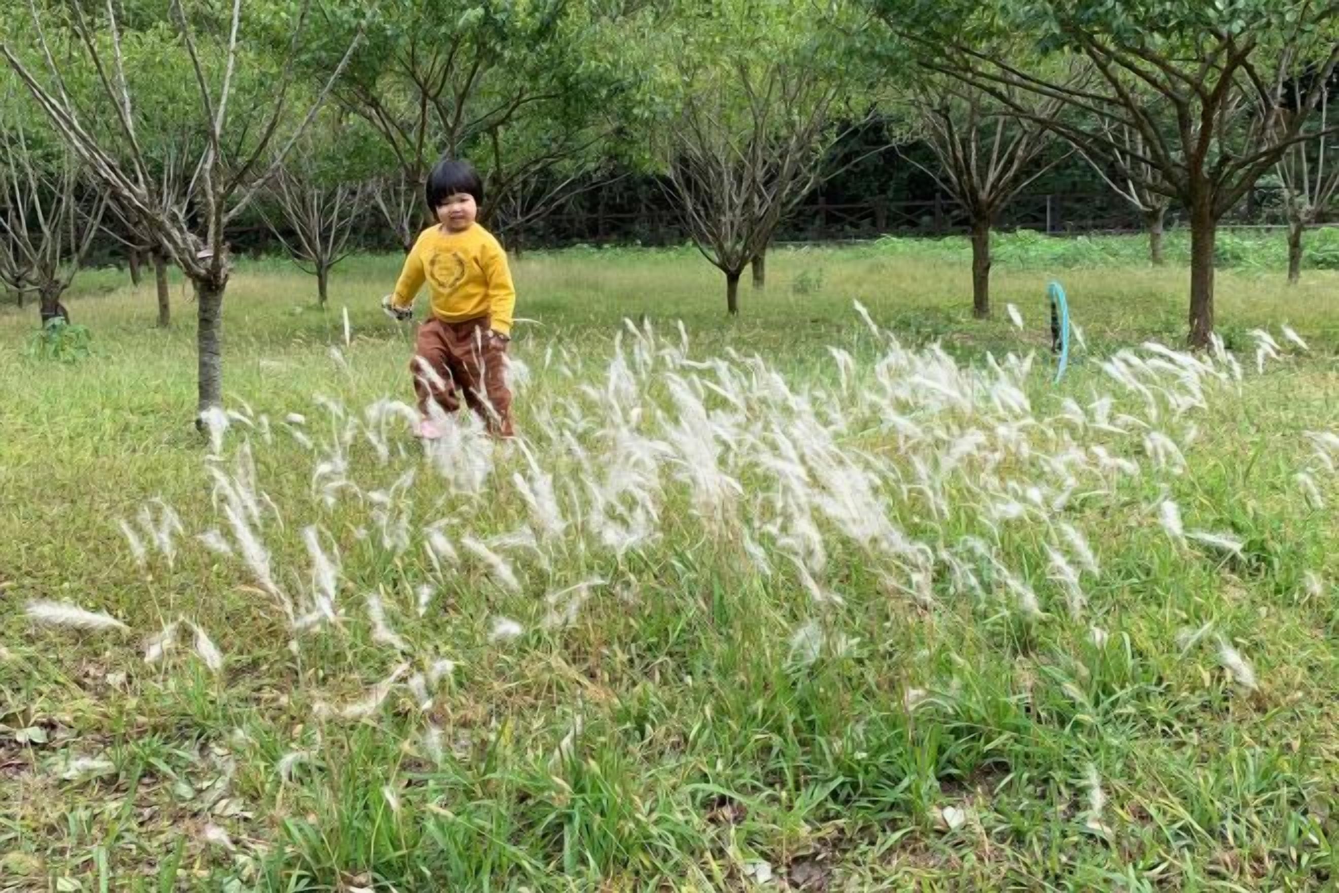 A person standing in a grassy field with trees in the background.