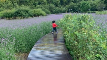 Jardines del alojamiento