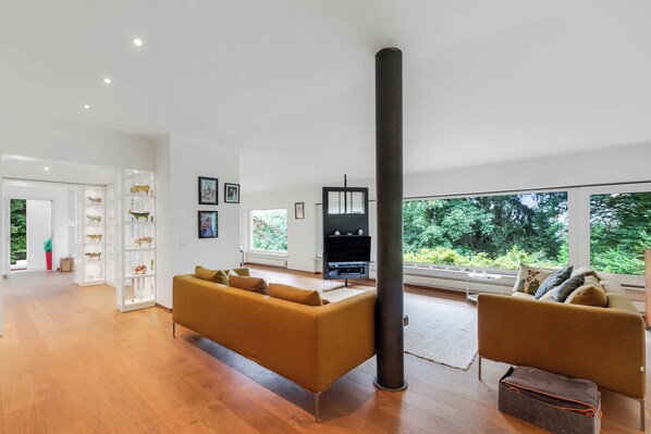 Télévision à écran plat, cheminée, chaîne hi-fi