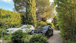A gravel driveway leading to a parked car in a garden with dense greenery and tall trees. - B&B Casa Decimo (Greve in Chianti)